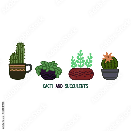Cactus and succulent plants in pots. Illustration set of hand drawn cacti and succulents growing in cute little pots. Simple cartoon vector style.