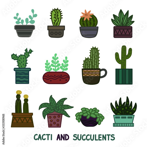 Cactus and succulent plants in pots. Illustration set of hand drawn cacti and succulents growing in cute little pots. Simple cartoon vector style.