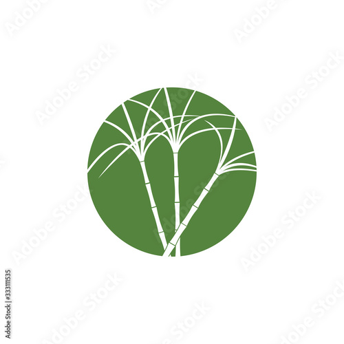 Sugar cane Logo Template vector symbol