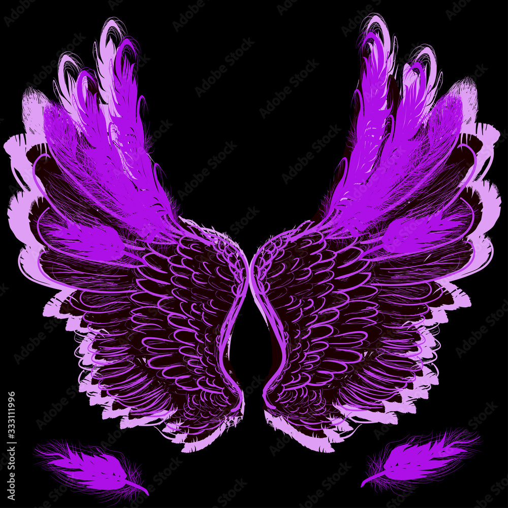 sketch of violet large isolated on black wings sketch of violet large isolated on black wings