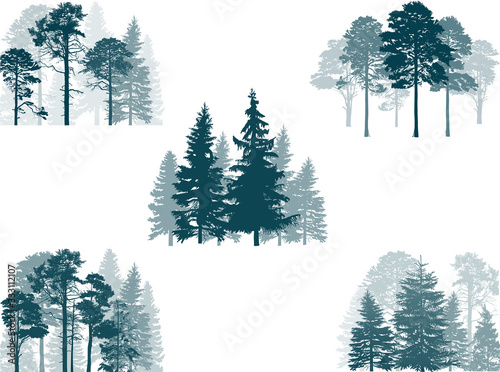set of five dark cyan pine trees groups on white