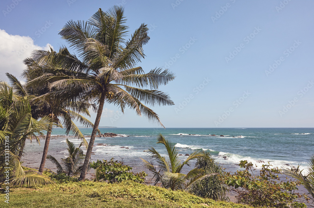 Tropical landscape with palm trees and sea, color toning applied.