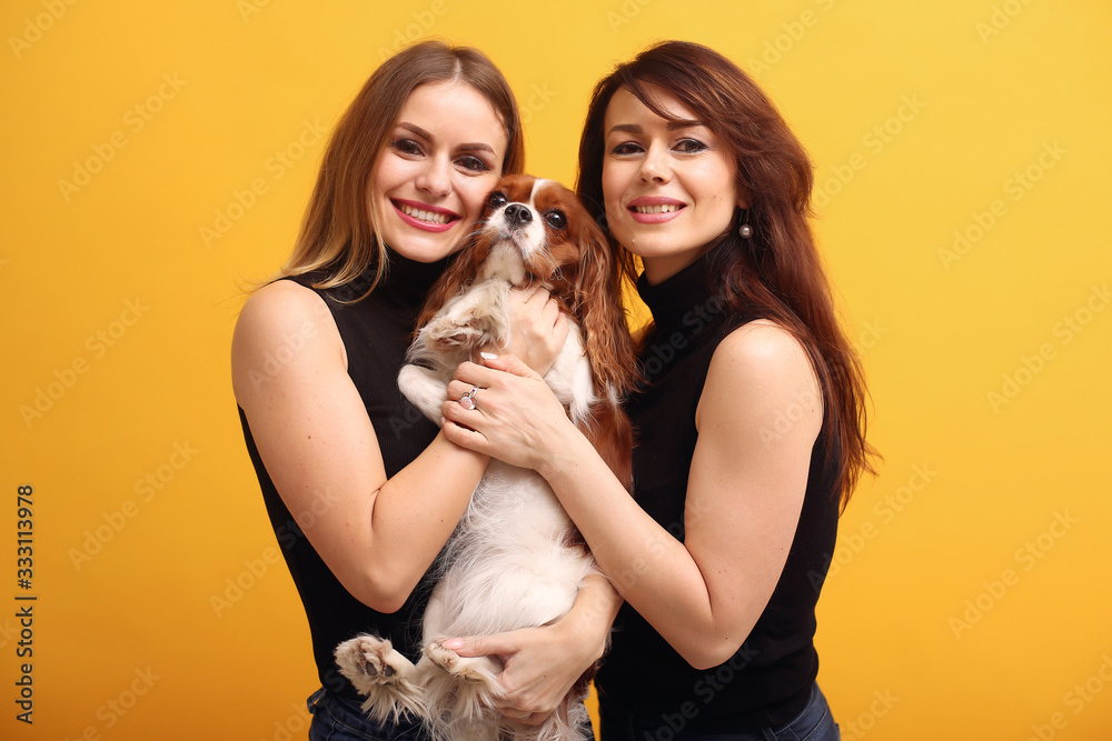 Beautiful girls in a studio. Stylish women on a yellow background. Ladies with cute dog.