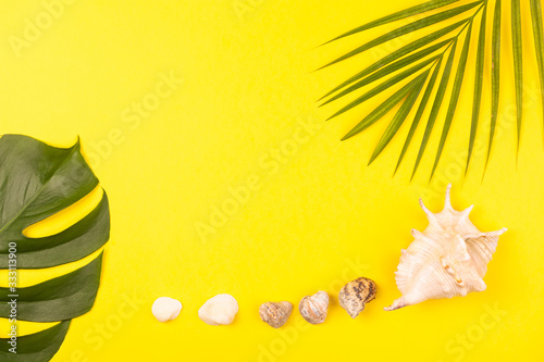 Top view on monstera and palm leaves with sea shells on yellow background. Concept of beach holiday, sea tour, warm sunny summer. Advertising space