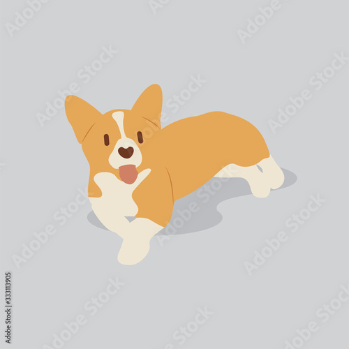 Corgi dog vector cartoon illustration. Cute friendly welsh corgi puppy, isolated on grey. Pets, animals, canine theme design element in contemporary simple flat style