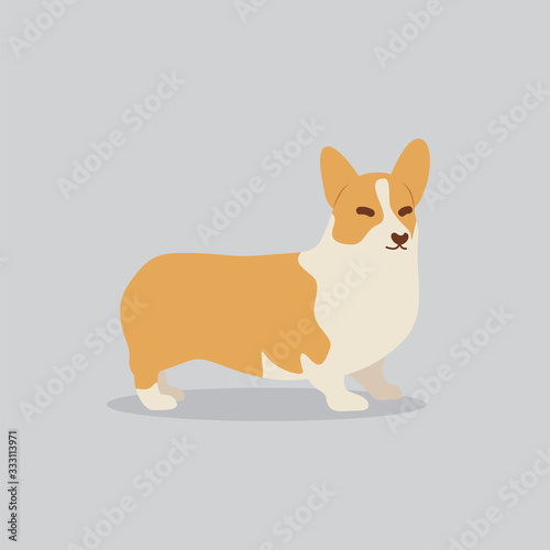 Corgi dog vector cartoon illustration. Cute friendly welsh corgi puppy  isolated on grey. Pets  animals  canine theme design element in contemporary simple flat style