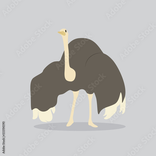 ostrich vector cartoon illustration. Cute friendly welsh ostrich, isolated on grey. Pets, animals, bird theme design element in contemporary simple flat style