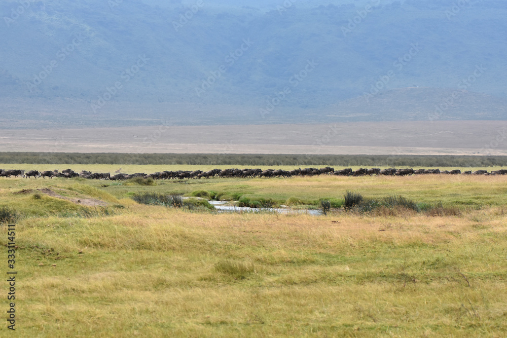 View of Ngorongoro Conservation Area, Tanzania