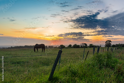 Rural sunrise scene with grazing horse
