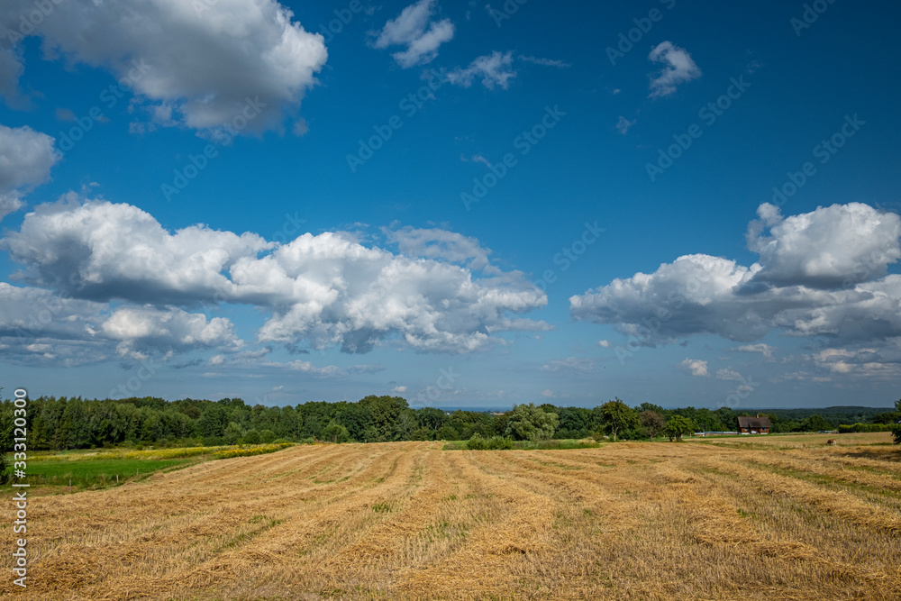 A field of straw after harvesting oat