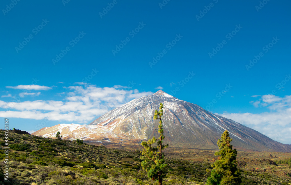 Mount Teide, the highest peak in Spain. It is observed with snow and in the foreground there is a Canary pine.