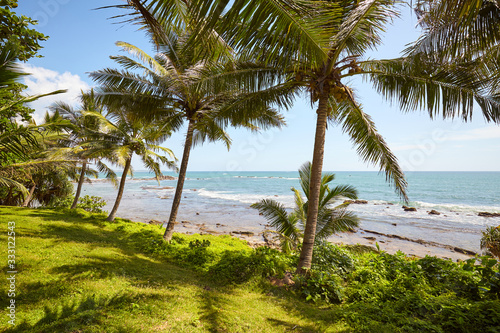 Tropical landscape with palm trees and the sea, Sri Lanka.