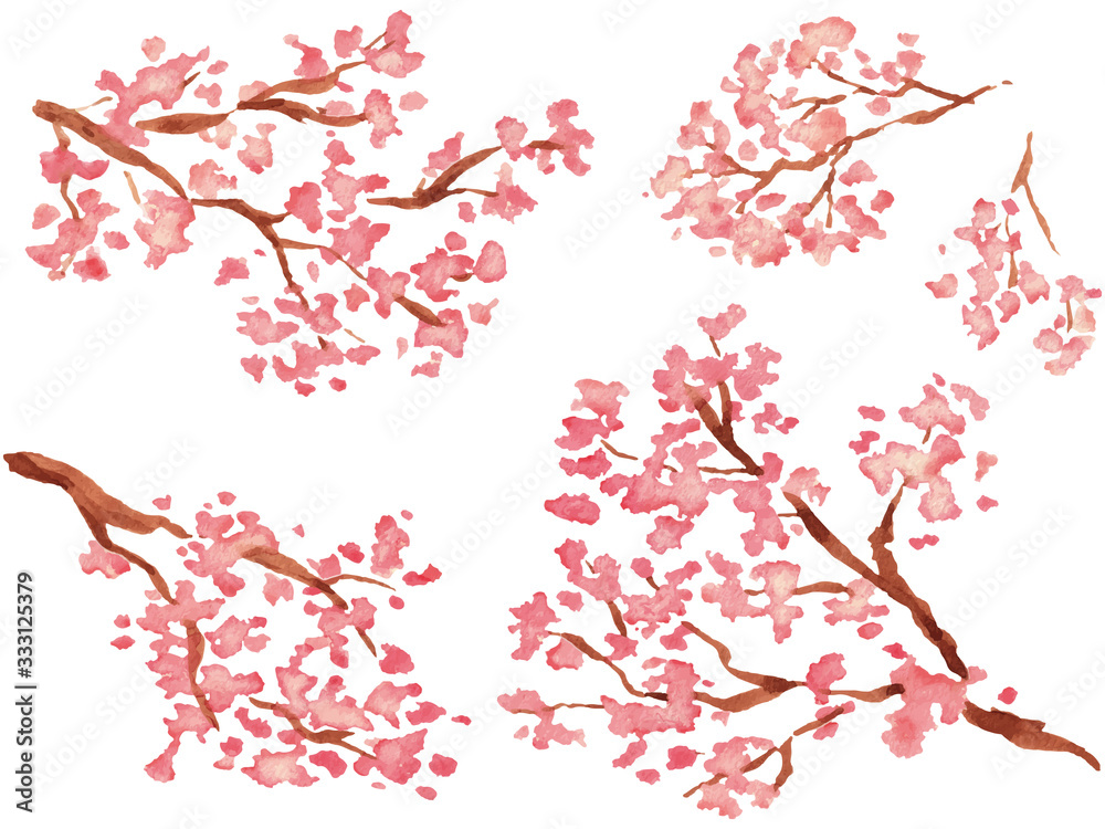 透明水彩で描いた桜の枝