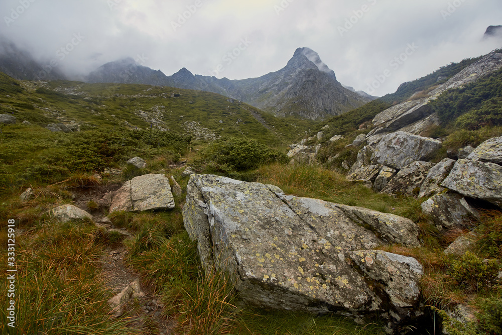 Majestic landscape of summer mountains. View of rocky peaks and coniferous forest hills in fog. Fagaras Mountains.Transylvania. Romania. Wild nature relaxing background.