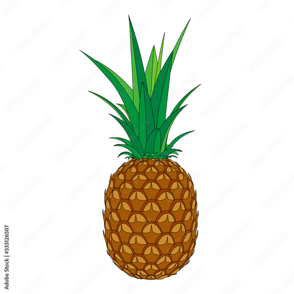 Ripe pineapple drawing Isolated on a white background. Exotic tropical fruits. Healthy eating concept. Flat style Ripe pineapple drawing Isolated on a white background. Exotic tropical fruits. Healthy eating concept. Flat style
