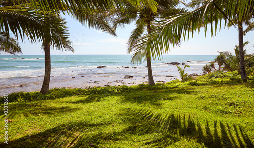 Tropical landscape with palm trees and the sea.