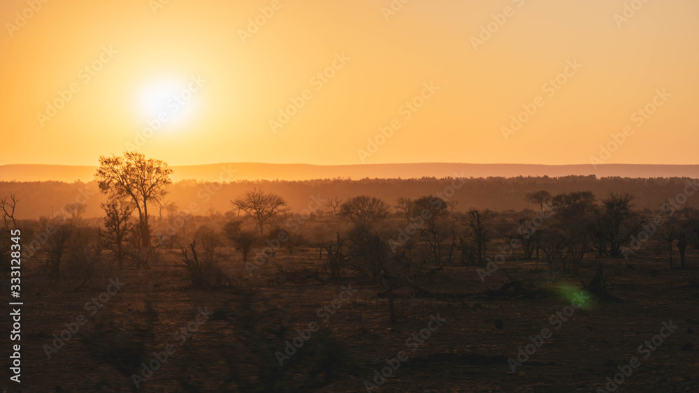 Sunrise in kruger national park south africa Sunrise in kruger national park south africa