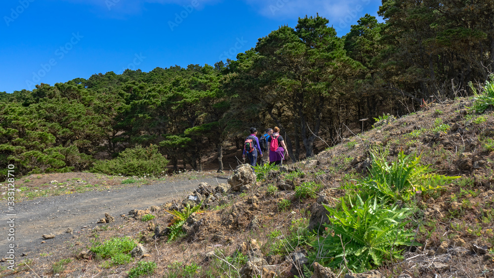 Hikers entering a forest on the island of El Hierro. Iron is ideal for hiking in contact with nature. Hikers entering a forest on the island of El Hierro. Iron is ideal for hiking in contact with nature.