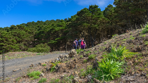 Hikers entering a forest on the island of El Hierro. Iron is ideal for hiking in contact with nature.