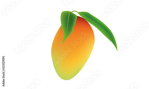 Fresh Ripe mango fruit tropical vector and illustration