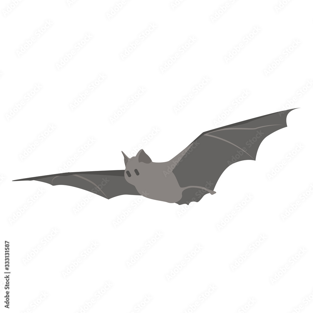 Cartoon bat. Cute Cartoon bat, Vector illustration on a white background. Drawing for children. Cartoon bat. Cute Cartoon bat, Vector illustration on a white background. Drawing for children.
