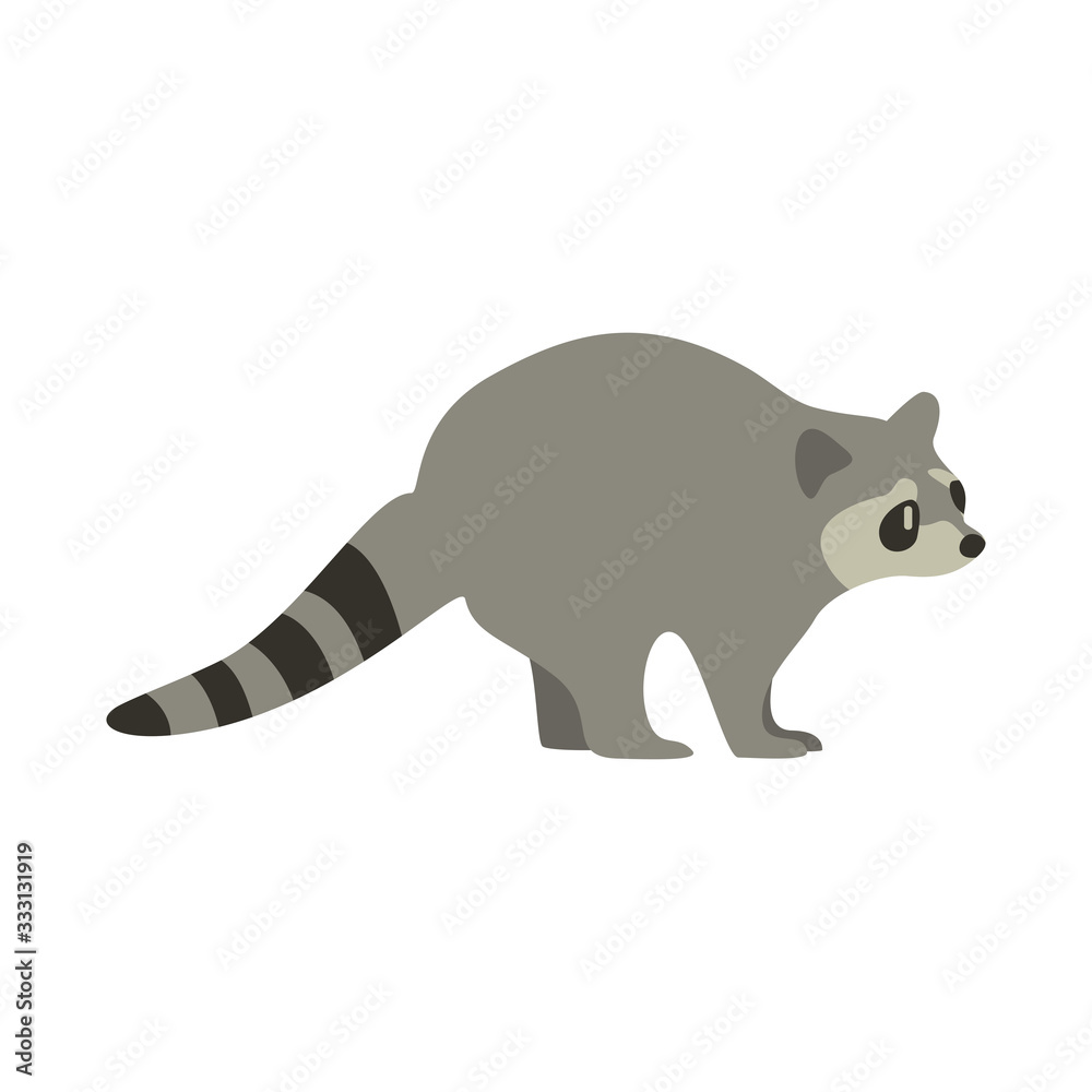 Obraz premium Cartoon raccoon. Cute Cartoon raccoon, Vector illustration on a white background. Drawing for children.
