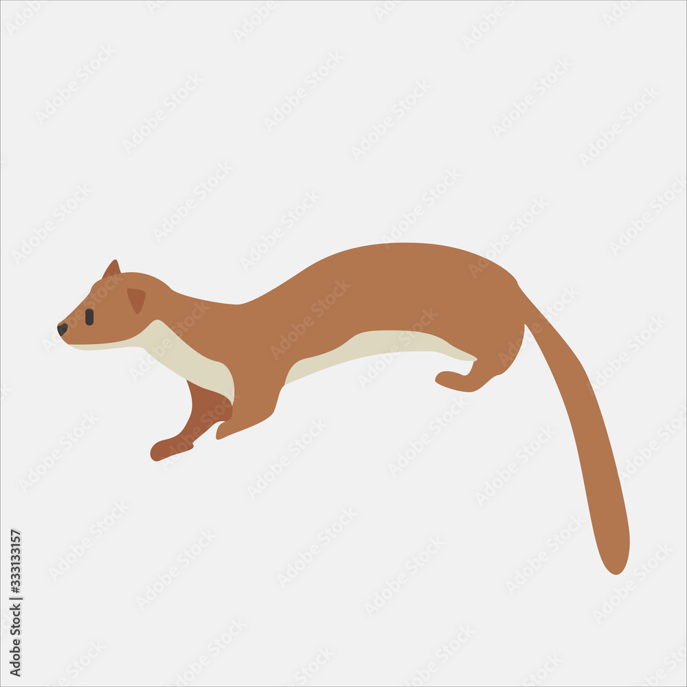 Fototapeta premium Cartoon otter. Cute Cartoon otter, Vector illustration on a white background. Drawing for children.