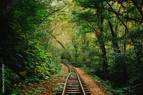 an abandoned railway in a mysterious dense dark forest