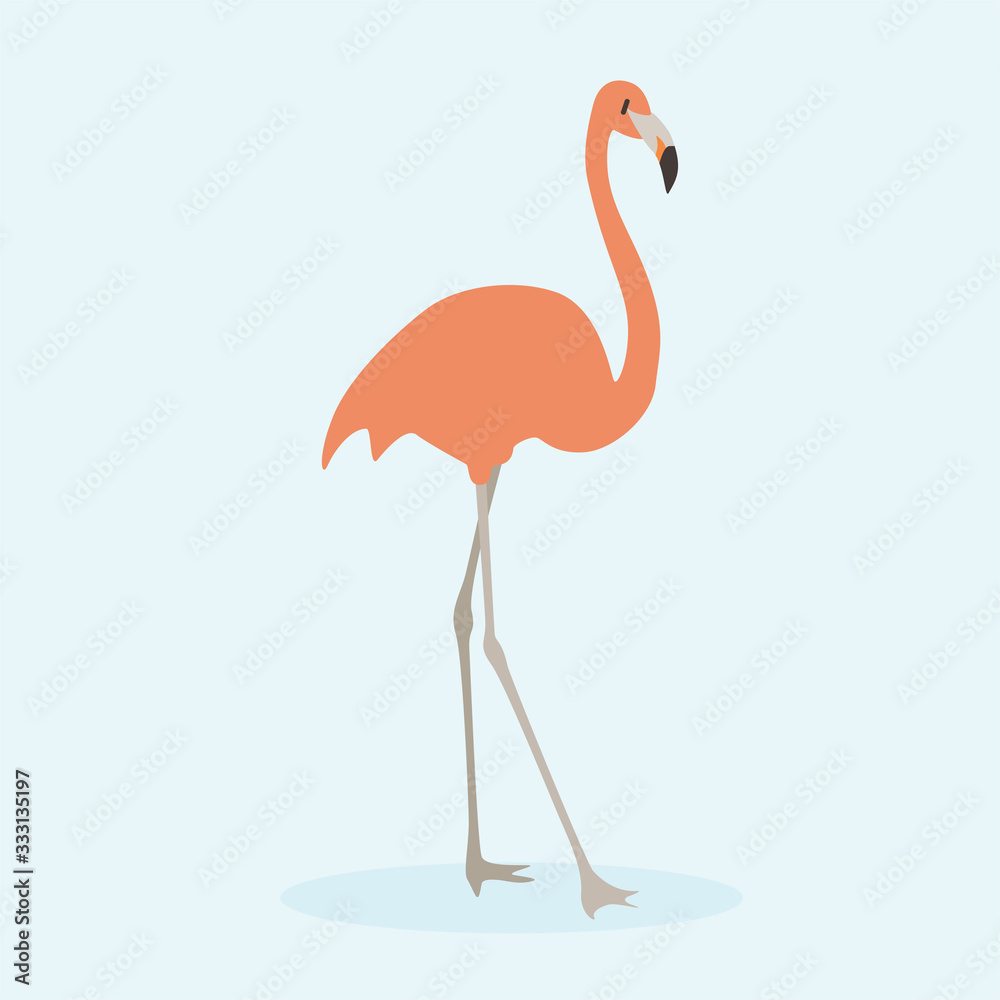 Cartoon pink flamingo. Cute Cartoon pink flamingo, Vector illustration on a blue background. Drawing for children.