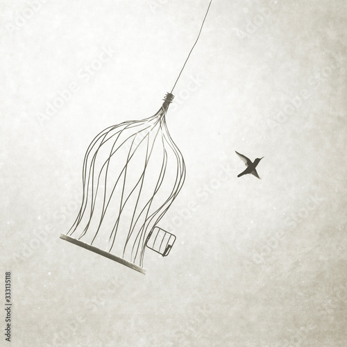Foto little bird flying out of bird cage, think outside the box
