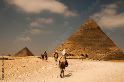 camels and local people of the giza pyramids