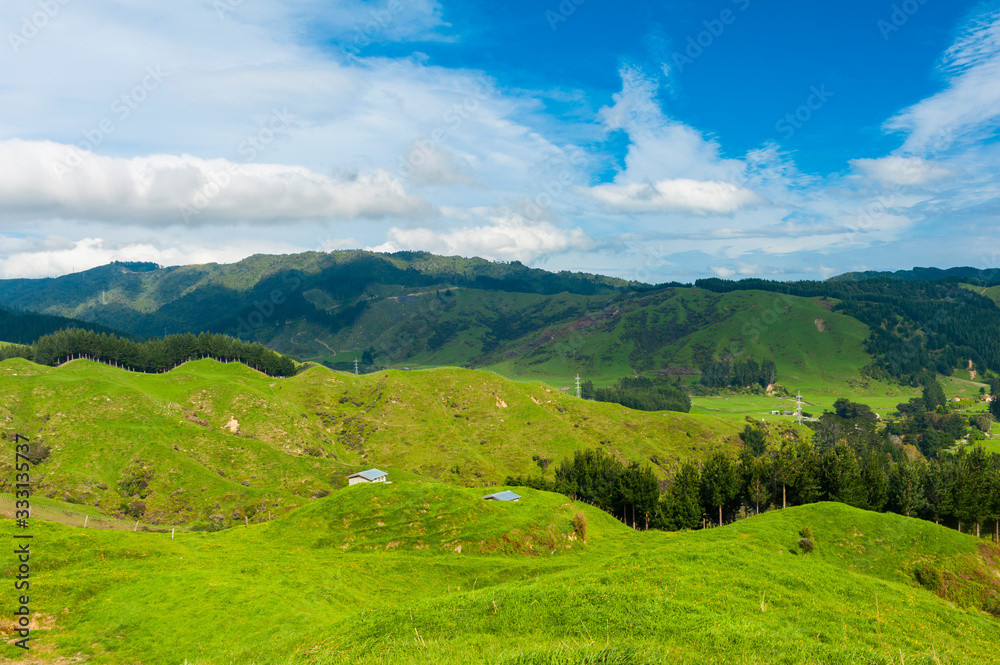 Hills of New Zealand