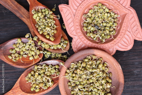 Fresh germinated green gram beans in white background