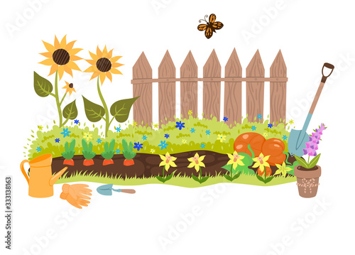 Summer garden illustration with a fence, sunflowers and garden tools. Vector graphics.
