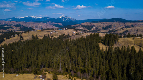 Forest mountains hills coniferous forest on Mount Carpathians Ukraine aerial photography.