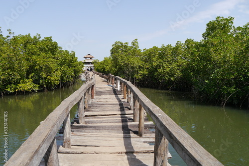 Steg durch Mangrovenwald