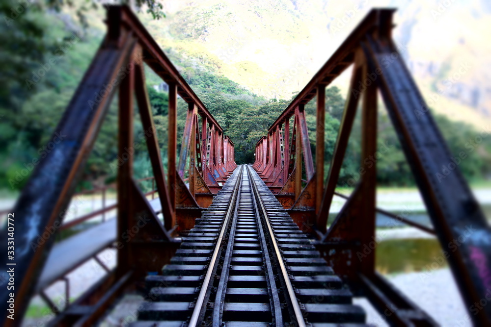 Zugbrücke Urwald Zugbrücke Urwald