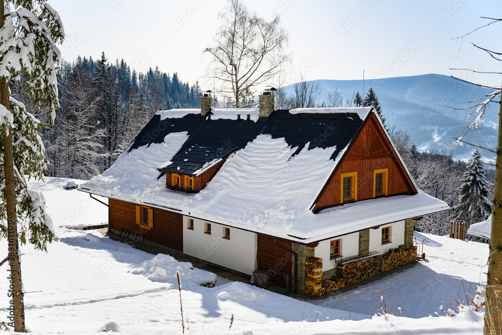 Cottage in the mountains with snow.