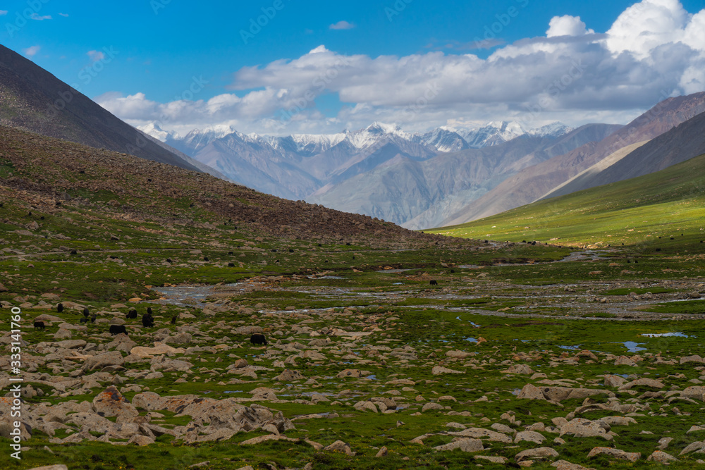 Summer season in Leh at high mountain pass, Himalaya mountain range in north India