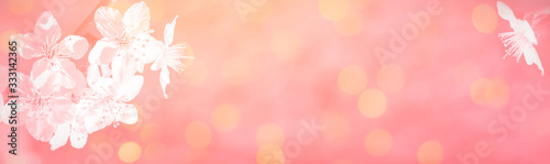 Spring banner. Spring time. Pink delicate background with flowering branches of cherry, copy space.