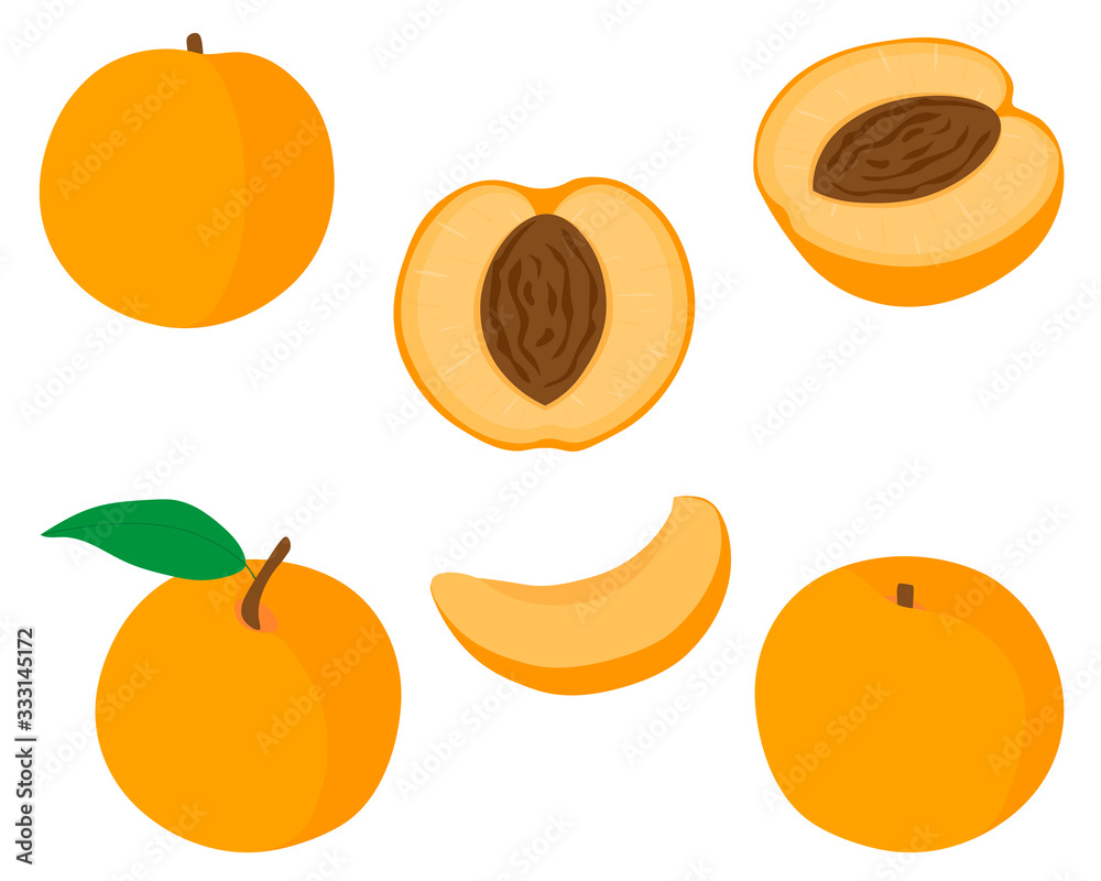 Set of fruit peaches vector illustration slices and slices Set of fruit peaches vector illustration slices and slices