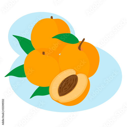 Fruit peaches orange vector illustration 