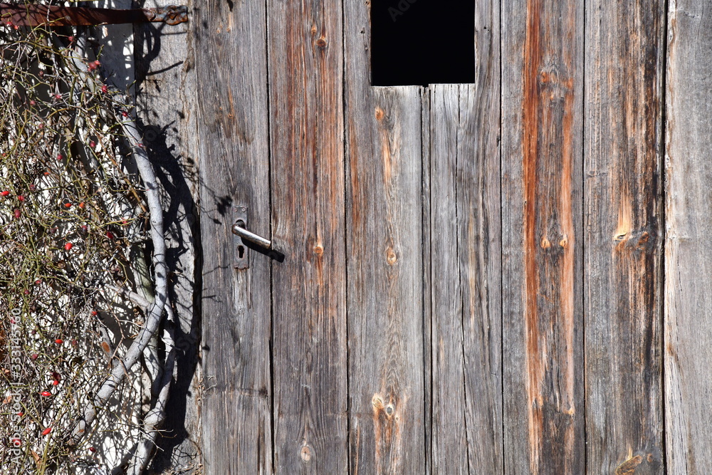 Holztüre mit Guckloch, links Kletterrosen