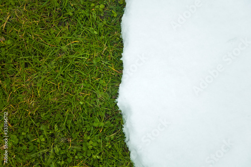 Melting snow on green grass...