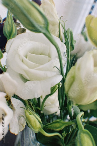 bouquet of white tulips photo