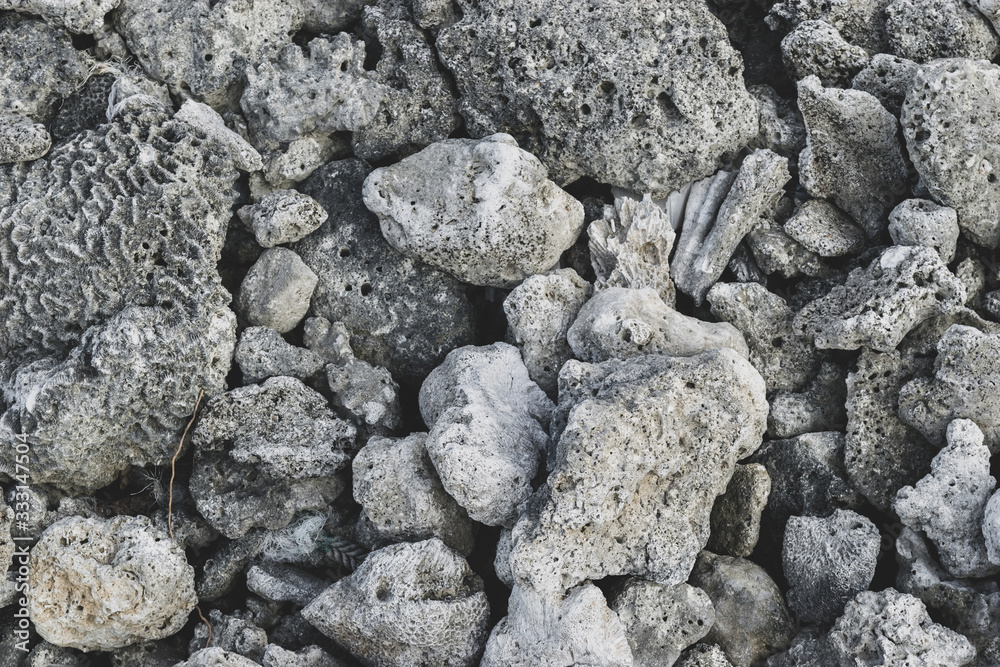Abstract background of dead grey corals Abstract background of dead grey corals