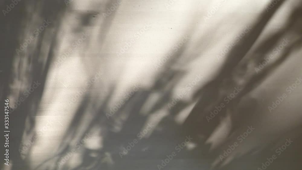 Shadow when sunlight shine on water surface and reflecting on grunge wall, rough texture of color paint, distress and lonely feeling, scattered pattern of moving light that pass through tree and leaf.