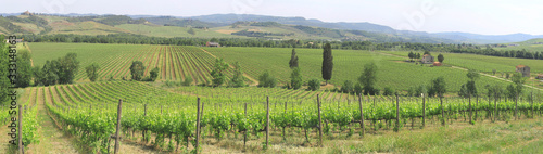 Weinanbau in Hügellandschaft, Toskana, Italien, Europa, Panorama