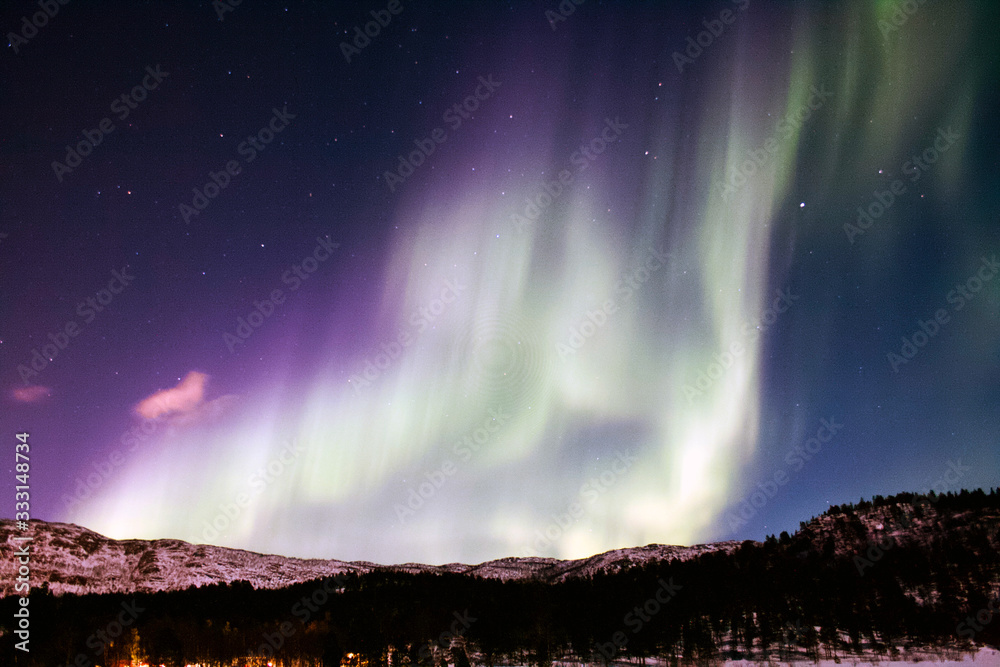 Northern Lights in purple color and snowy mountains with a forest on the ground from Norway - Landscape Photography
