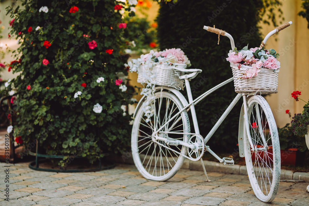 Vintage bicycle with basket with pink flowers. A vintage two-wheeled bicycle with flowers on it. Bicycle with basket full of fresh flowers isolated on green plants.